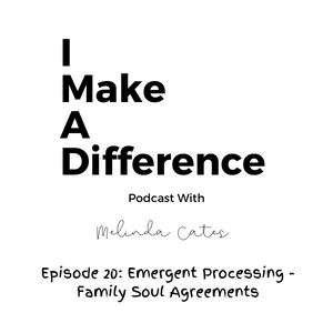 Episode 20: Emergent Processing – Family Soul Agreements episode artwork
